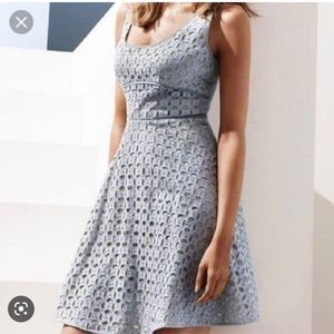 LOFT Ann Taylor Loft dress eyelet fit and Flare baby blue dress size 10P NWT